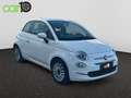 Fiat 500 Dolcevita 1.0 Hybrid 51KW (70 CV) Gris - thumbnail 2