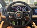 Porsche Cayenne E-Hybrid 3.0 V6 - IVA Esposta Blau - thumbnail 13