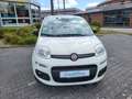 Fiat Panda 1.2  Easy +Sitzheizung+ Weiß - thumbnail 7