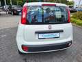 Fiat Panda 1.2  Easy +Sitzheizung+ Weiß - thumbnail 9