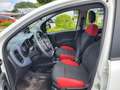 Fiat Panda 1.2  Easy +Sitzheizung+ Weiß - thumbnail 12
