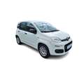 Fiat Panda 1.2  Easy +Sitzheizung+ Weiß - thumbnail 2