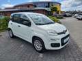 Fiat Panda 1.2  Easy +Sitzheizung+ Weiß - thumbnail 4