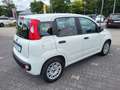 Fiat Panda 1.2  Easy +Sitzheizung+ Weiß - thumbnail 5