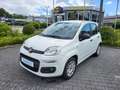 Fiat Panda 1.2  Easy +Sitzheizung+ Weiß - thumbnail 3