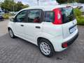 Fiat Panda 1.2  Easy +Sitzheizung+ Weiß - thumbnail 10