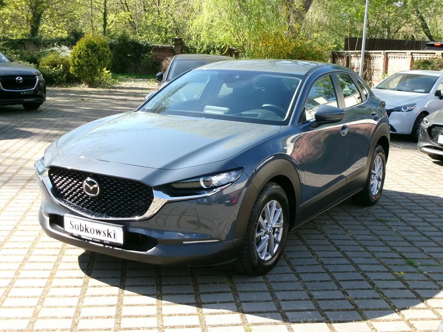 Mazda CX-30 SKYACTIV-X 2.0 M HYBRID Selection 2WD Gris - 2
