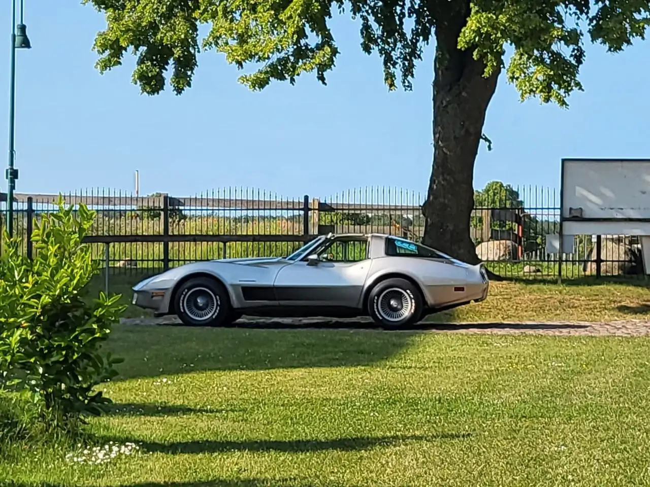 Corvette C3 seltene Collector Edition Targa, foto 5