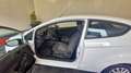 Ford Fiesta AFFAIRES 1.5 TDCI 75 TREND Blanc - thumbnail 10
