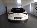 Mazda CX-30 2.0L e-Skyactiv-G 150 CV M Hybrid 2WD Exceed Bianco - thumbnail 5