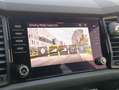Skoda Kodiaq Kodiaq 2.0 TDI EVO SCR 200 CV 4x4 DSG SportLine Grigio - thumbnail 32