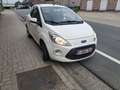 Ford Ka/Ka+ Ka 1.3 TDCi Start-Stopp-System Titanium - thumbnail 2