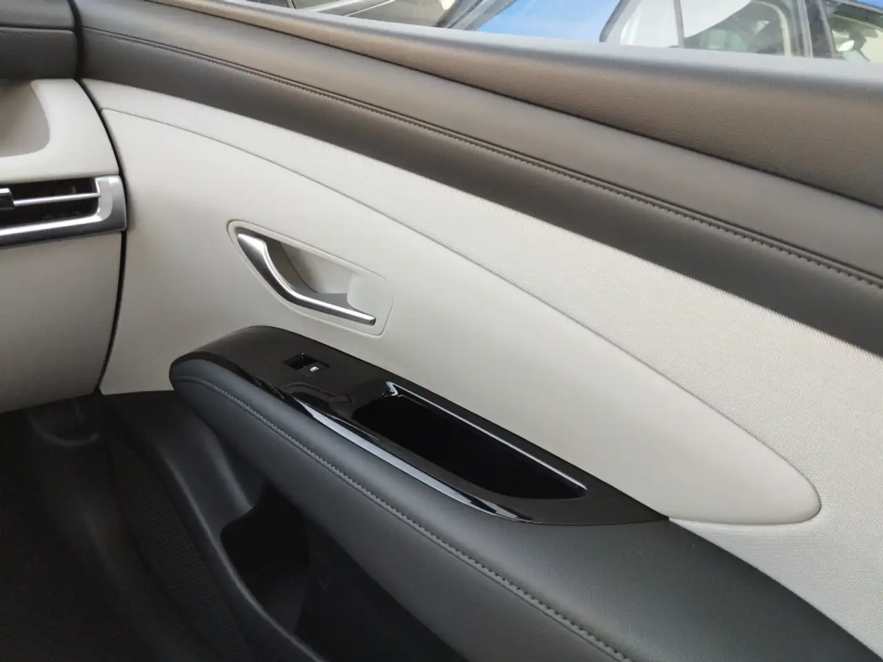 Hyundai TUCSON FL 1.6 T-GDI Plug-in-Hybrid Prime AT 4WD 18