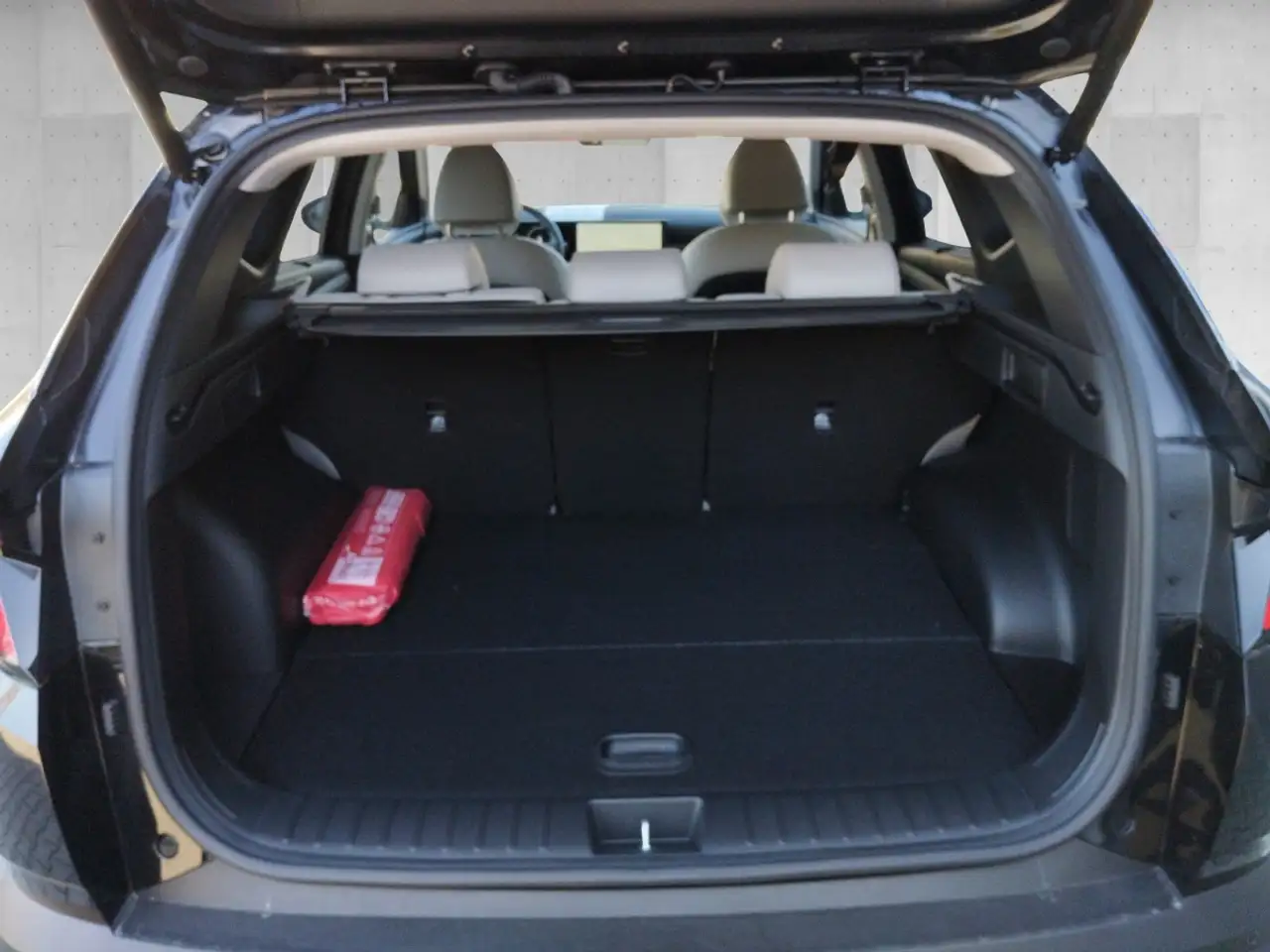 Hyundai TUCSON FL 1.6 T-GDI Plug-in-Hybrid Prime AT 4WD 19