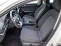 SEAT Leon 1.0 TSI S&S Style 110 Bianco - thumbnail 10