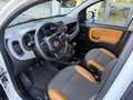 Fiat Panda 0.9 TwinAir Turbo S&S 4x4 LOUNGE bluetooth etc Weiß - thumbnail 17