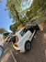 Fiat Punto Evo 5p 1.2 Dynamic s&s - thumbnail 1