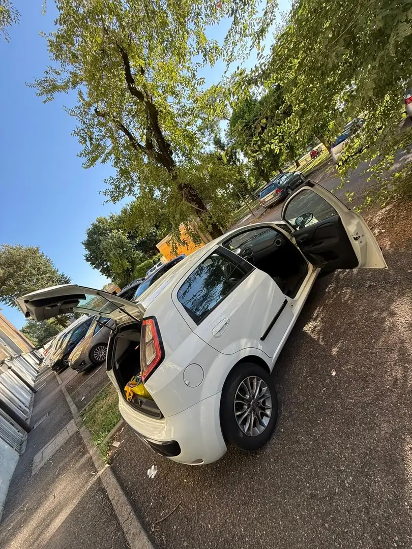 Fiat Punto Evo 5p 1.2 Dynamic s&s - 1