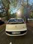 Fiat Punto Evo 5p 1.2 Dynamic s&s - thumbnail 9