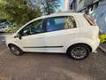 Fiat Punto Evo 5p 1.2 Dynamic s&s - thumbnail 5