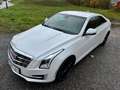 Cadillac ATS ATS Coupé 2.0 Turbo RWD Premium 63940 km Bianco - thumbnail 3