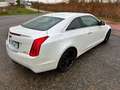 Cadillac ATS ATS Coupé 2.0 Turbo RWD Premium 63940 km Bianco - thumbnail 5