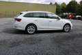 Skoda Octavia 2.0 TDI DSG STYLE COCKPIT NAVI APPS DODEHOEKSENSOR Blanc - thumbnail 6
