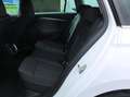 Skoda Octavia 2.0 TDI DSG STYLE COCKPIT NAVI APPS DODEHOEKSENSOR Blanc - thumbnail 12
