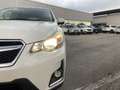 Subaru XV 2.0 d S Unlimited Weiß - thumbnail 25