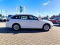 Skoda Octavia Combi 1.5 TSI Essence LED Klimaautomatik Weiß - thumbnail 6