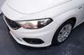 Fiat Tipo 1.3 Mjt S&S 5 porte Easy Blanc - thumbnail 24