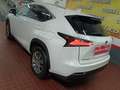 Lexus NX 300 300h Business Navigation 2WD Blanco - thumbnail 33