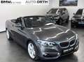 BMW 218 i Cabrio AUTOM LUXURY-LINE LEDER NAVI LED 18" Gris - thumbnail 5