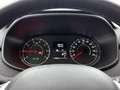 Dacia Sandero Stepway 1.0 TCe 100 Bi-Fuel Comfort | Achteruitrij Wit - thumbnail 15