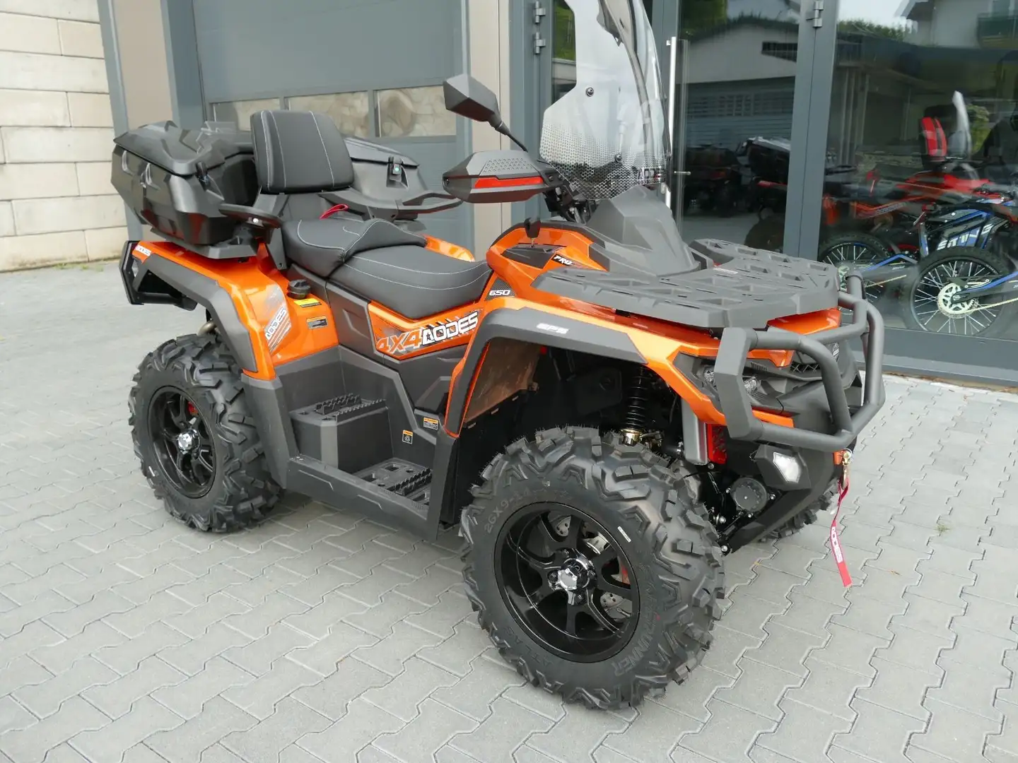 Sonstige Marken Pathcross 650 Luxury Edition *ABS*Winterpreis Orange - 2