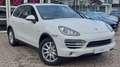 Porsche Cayenne Diesel Weiß - thumbnail 3