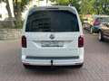 Volkswagen Caddy Edition 35 Xenon Navi AHK Standheizung HU Weiß - thumbnail 5