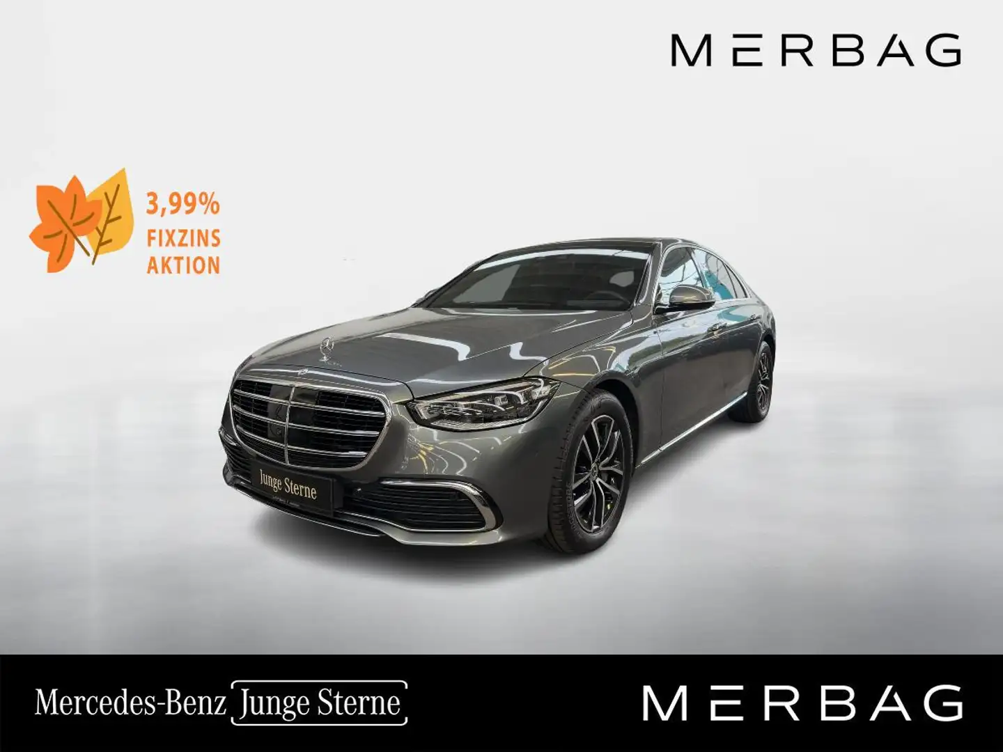 Mercedes-Benz S 350 d 4MATIC Limousine Grau - 1