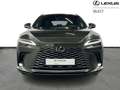 Lexus RX 450h Executive Line + Pano Roof Green - thumbnail 5