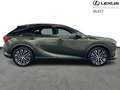 Lexus RX 450h Executive Line + Pano Roof Green - thumbnail 14