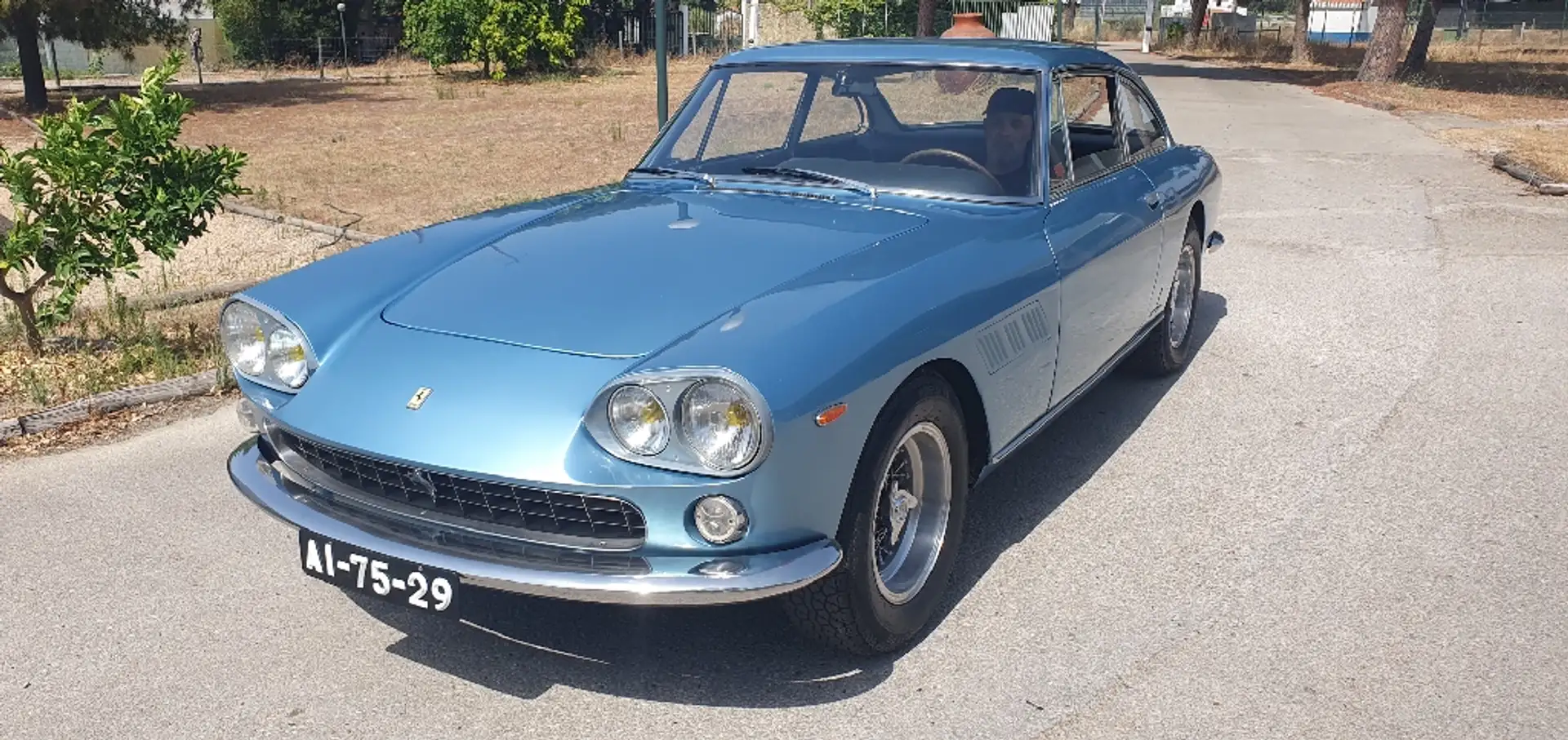 Ferrari 330 GT 2+2 Blau - 1