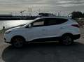 Hyundai iX35 iX35 1.7 CRDi 2WD Move Blanc - thumbnail 3
