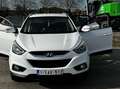 Hyundai iX35 iX35 1.7 CRDi 2WD Move Blanc - thumbnail 30