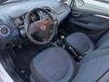 Fiat Punto Evo 1.4 natural power Emotion 70cv Bianco - thumbnail 12