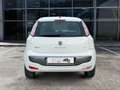 Fiat Punto Evo 1.4 natural power Emotion 70cv Bianco - thumbnail 6