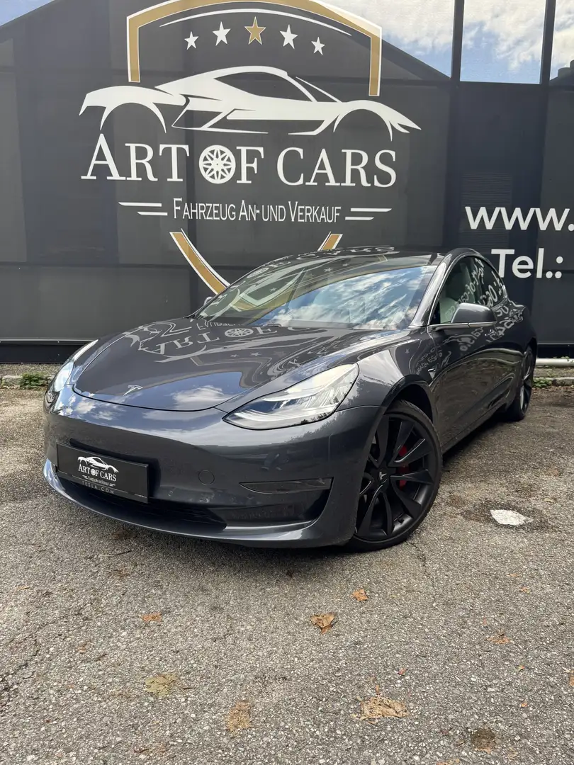 Tesla Model 3 Model 3 MAX RANGE Performance AWD/Ab 246 Euro im M Grau - 1