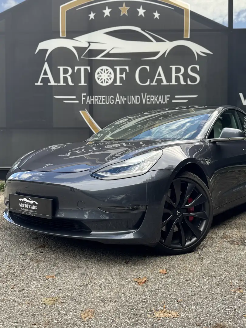 Tesla Model 3 Model 3 MAX RANGE Performance AWD/Ab 246 Euro im M Grau - 2