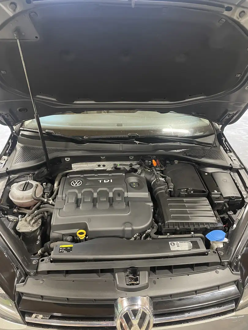 Volkswagen Golf Golf Sky 2,0 BMT TDI DPF 4Motion Sky Grau - 1