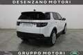 Land Rover Discovery Sport 2.0d td4 mhev  SE awd 204cv auto Blanc - thumbnail 2
