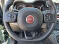 Fiat Panda 1000 HYBRID CROSS 70CV CARPLAY PDC ITALIA Verde - thumbnail 13